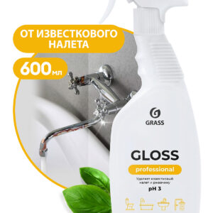 Sanitärreiniger "Gloss Professional" 600ml